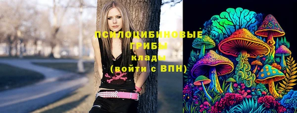 крисы Касимов