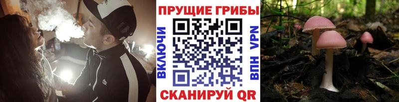 KRAKEN ссылка  Кореновск  Псилоцибиновые грибы ЛСД 